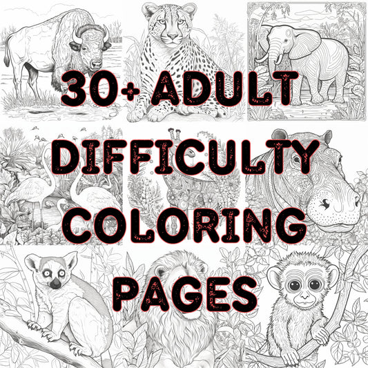 Zoo Animal Collection 30+ Coloring Pages (DIGITAL DOWNLOAD) Digital Artwork Weaver Custom Engravings Digital Downloads   